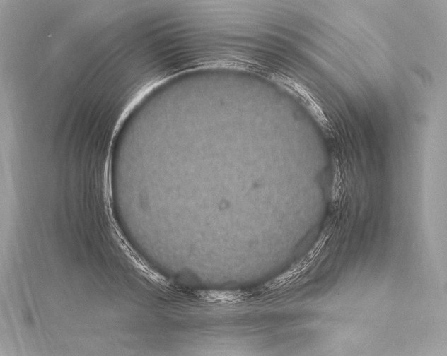 X0000115340796200911301547