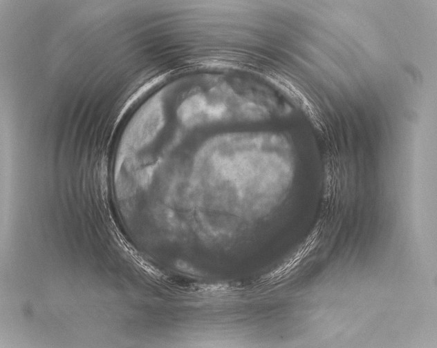 X0000115340798200911301547