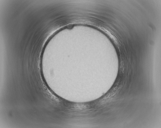 X0000115340799200911301547