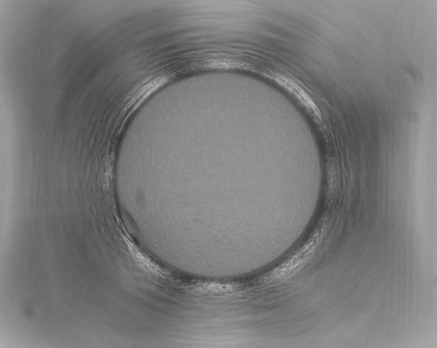 X0000115340801200911301547