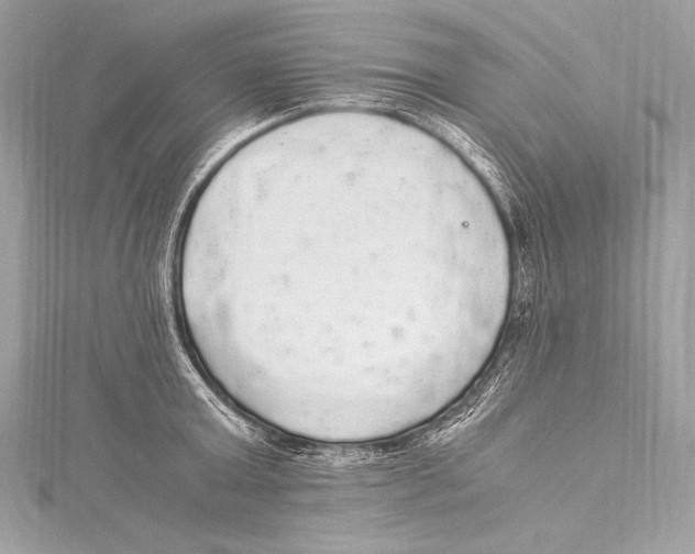 X0000115340803200911301546