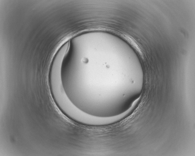 X0000115340805200911301546