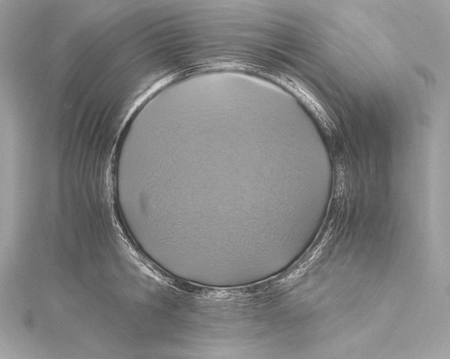 X0000115340806200911301546