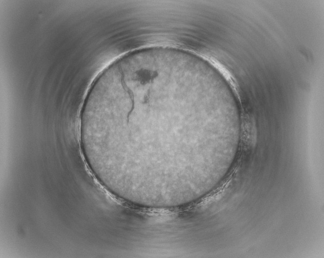 X0000115340807200911301546