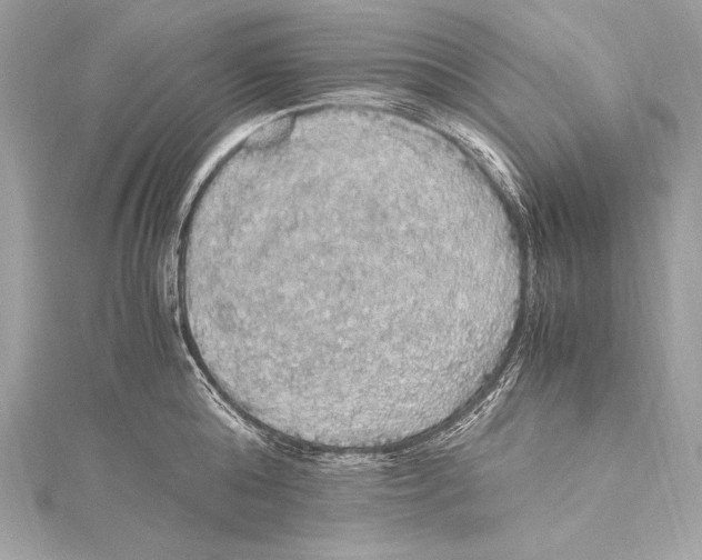 X0000115340808200911301546