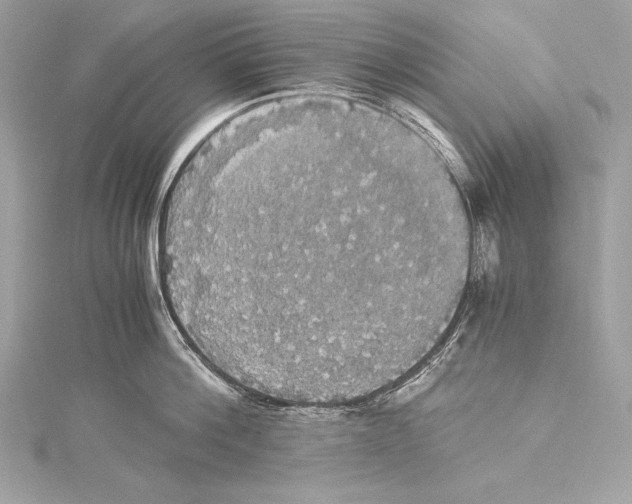 X0000115340812200911301546