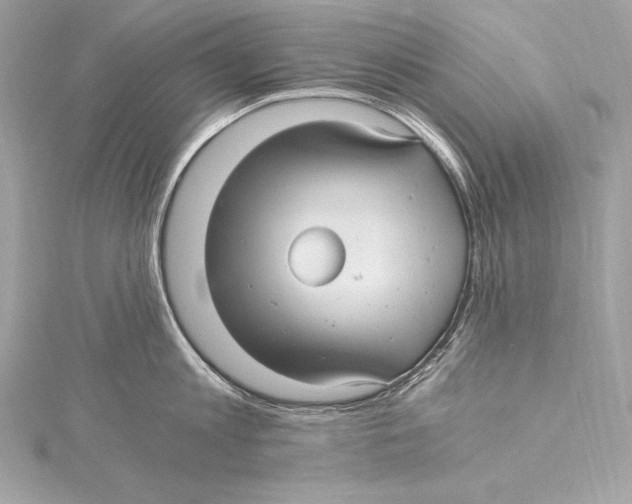 X0000115340813200911301546