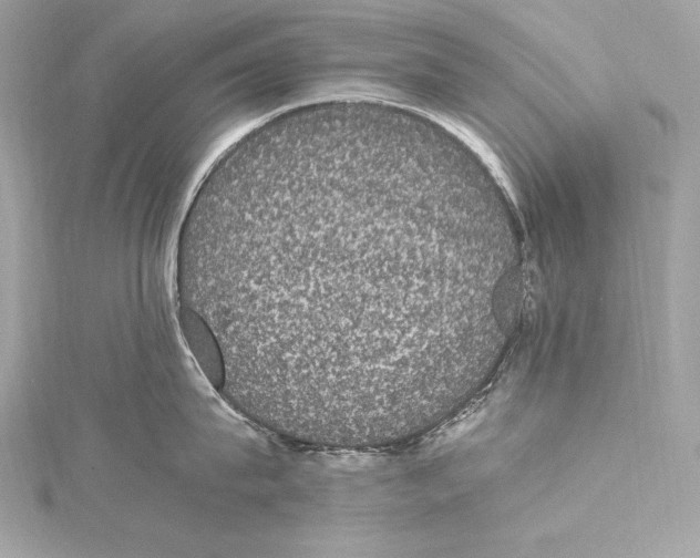 X0000115340815200911301546