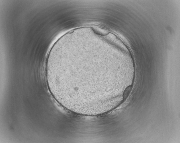 X0000115340816200911301546