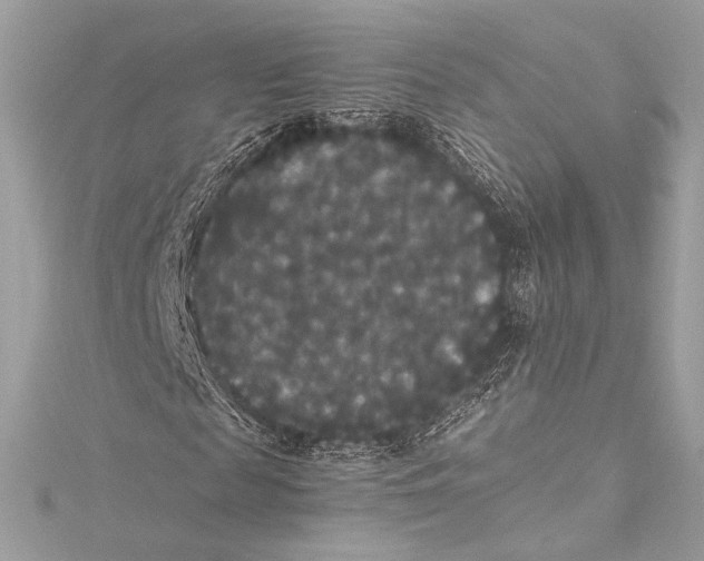 X0000115340817200911301546