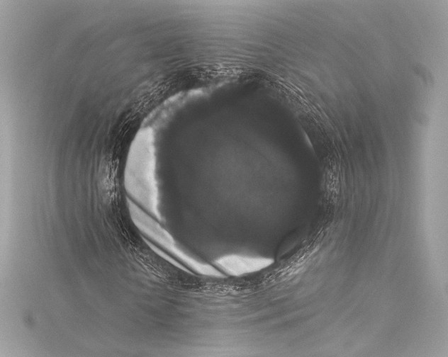 X0000115340818200911301546