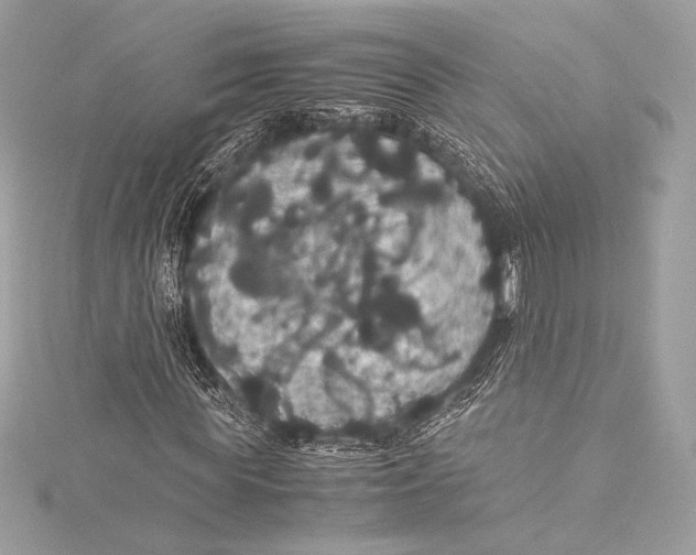 X0000115340819200911301546