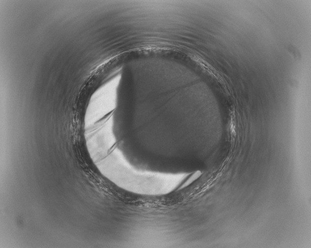 X0000115340822200911301546