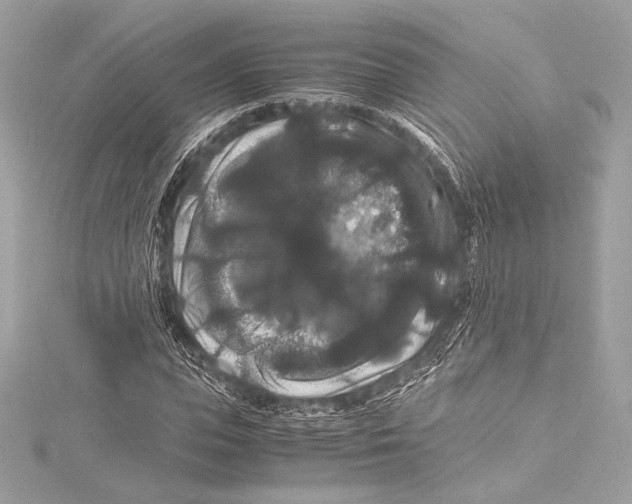 X0000115340823200911301546