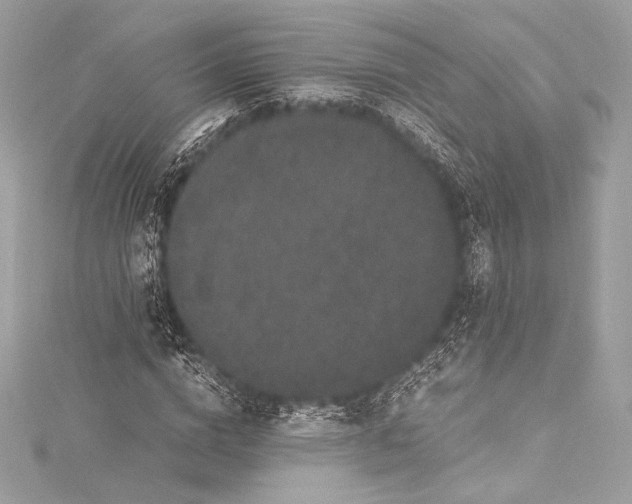 X0000115340824200911301546