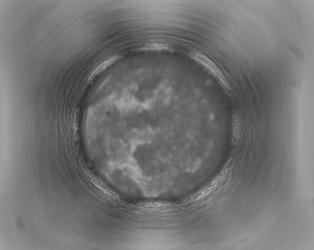 X0000115340826200911301546