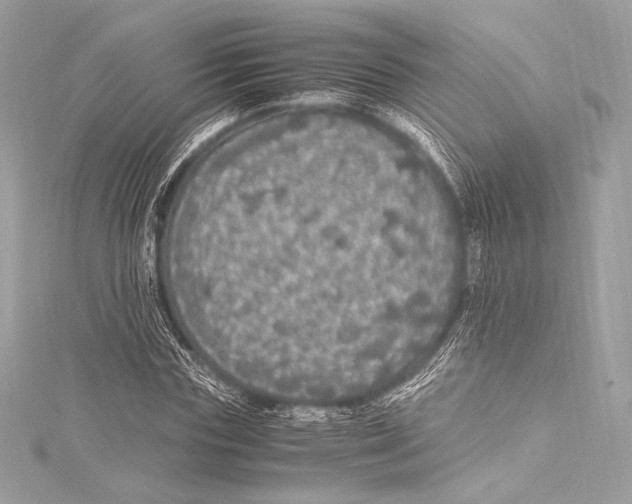 X0000115340827200911301546