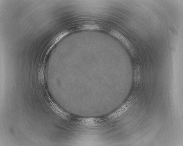 X0000115340828200911301546