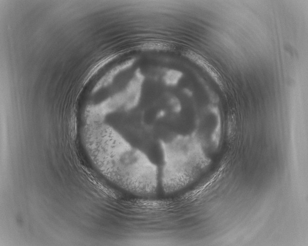 X0000115340829200911301546