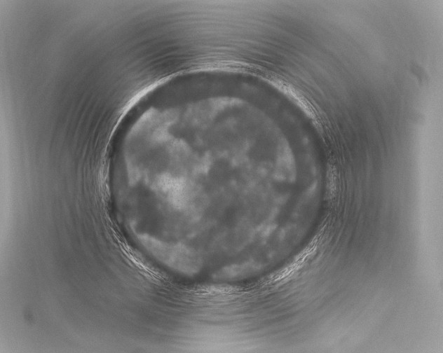 X0000115340830200911301546