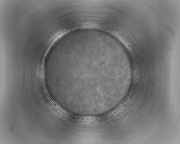 X0000115340832200911301546