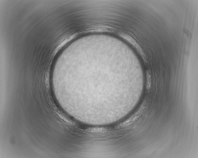 X0000115340834200911301546