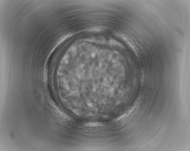 X0000115340835200911301546