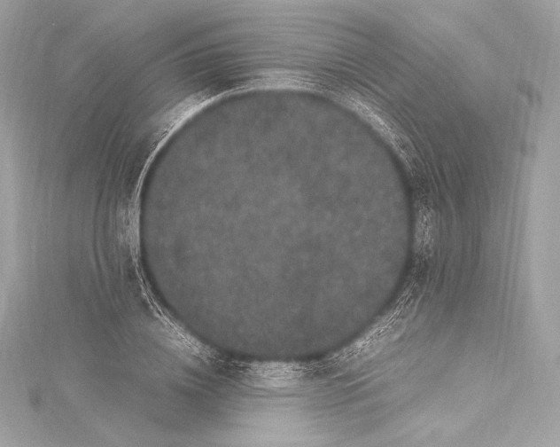 X0000115340836200911301546