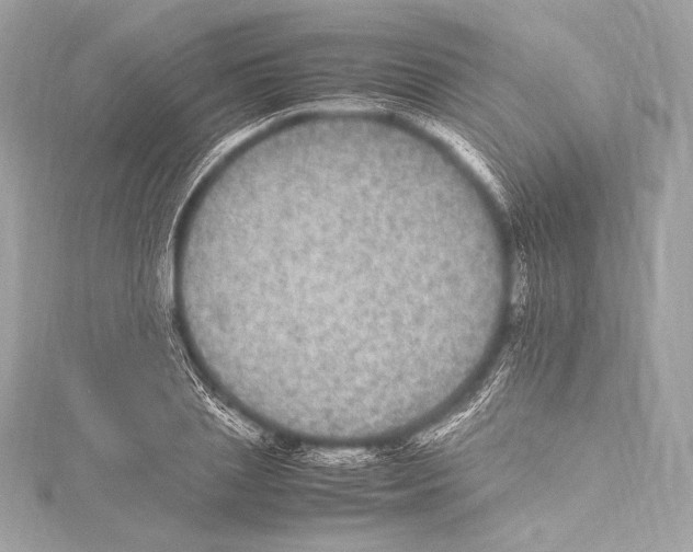 X0000115340837200911301546