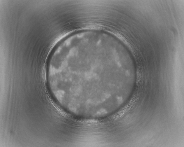 X0000115340838200911301546