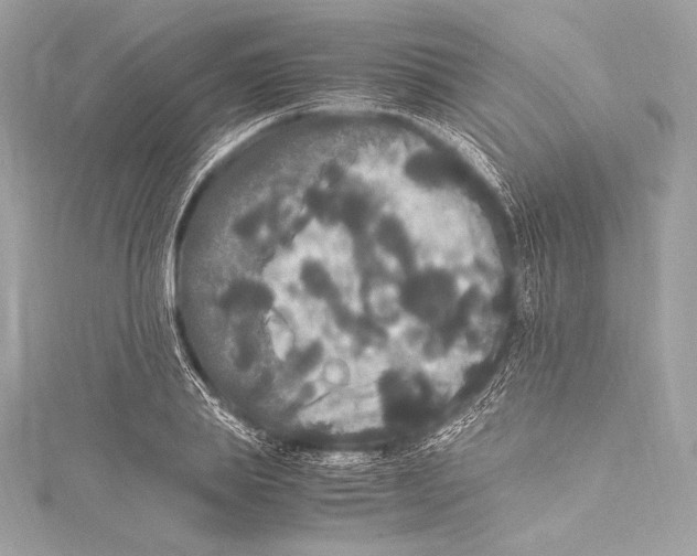 X0000115340839200911301546