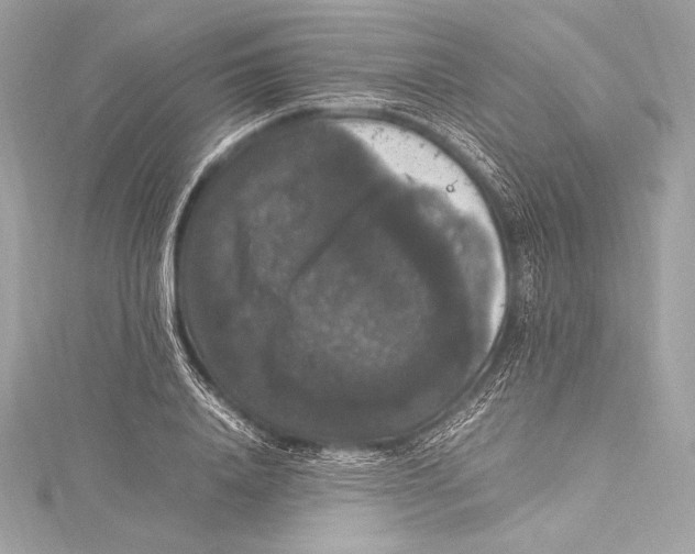 X0000115340840200911301546