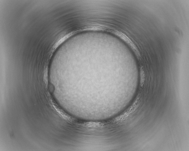 X0000115340842200911301546