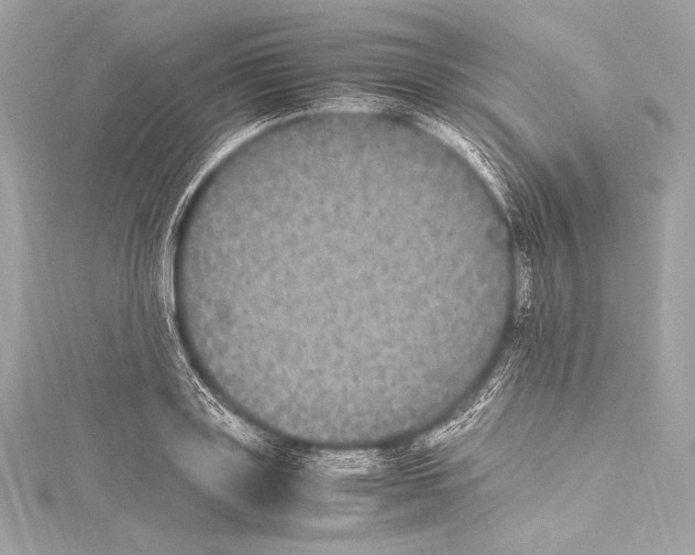 X0000115340843200911301546