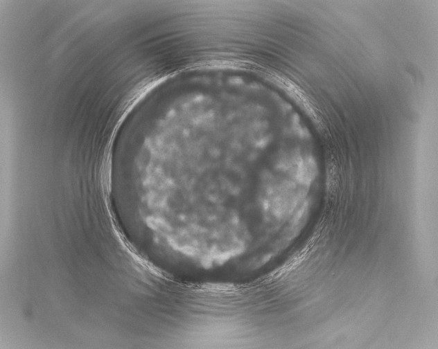 X0000115340844200911301546