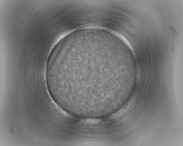 X0000115340847200911301546