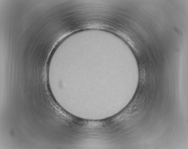 X0000115340848200911301546