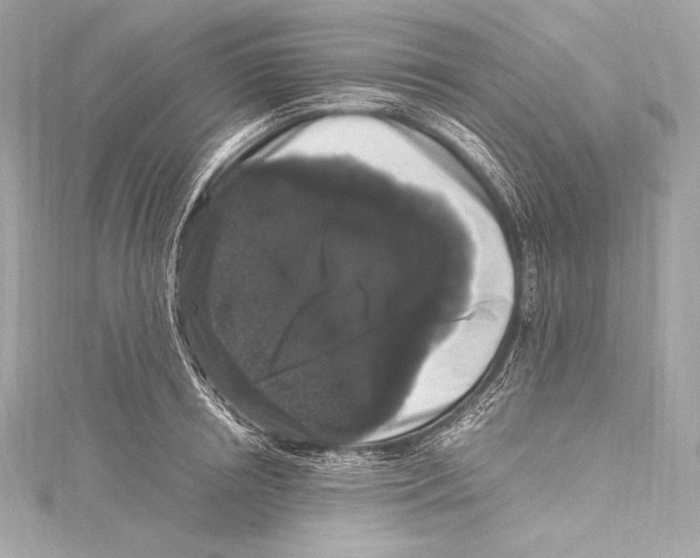 X0000115340850200911301546