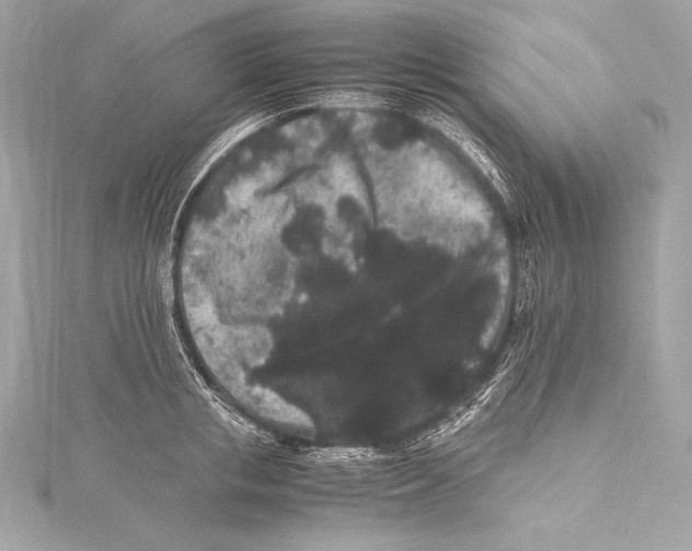 X0000115340853200911301546