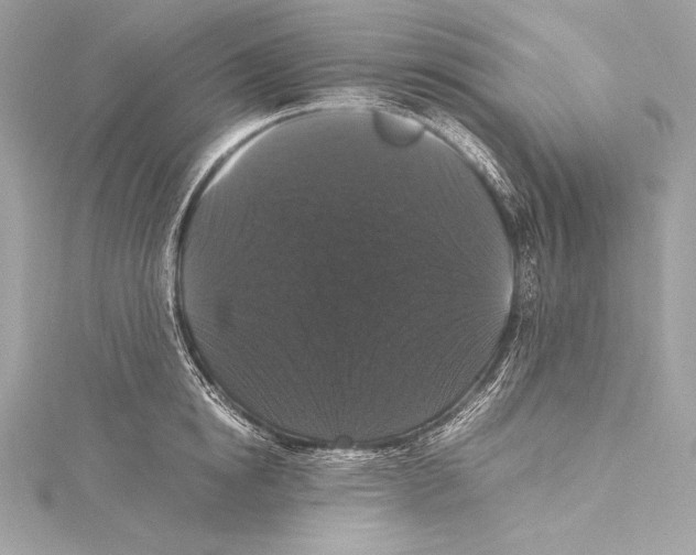 X0000115340854200911301546