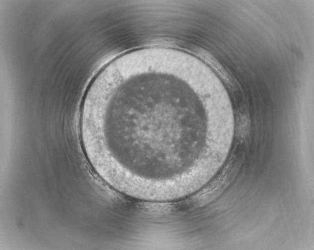 X0000115340856200911301546