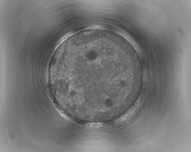 X0000115340858200911301546