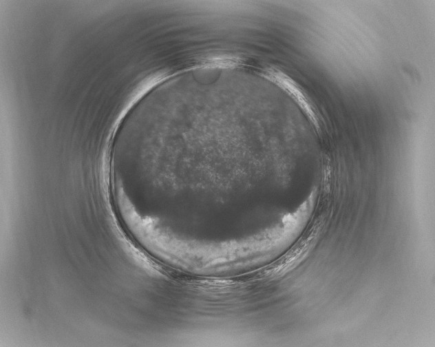 X0000115340859200911301546