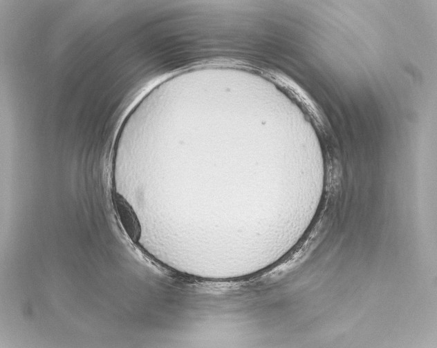 X0000115340860200911301546