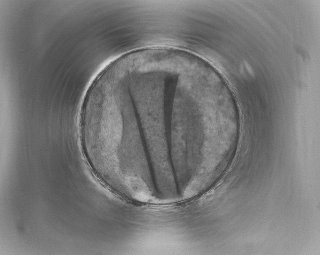 X0000115340864200911301546