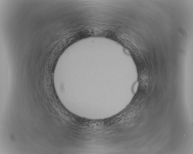 X0000115340865200911301546