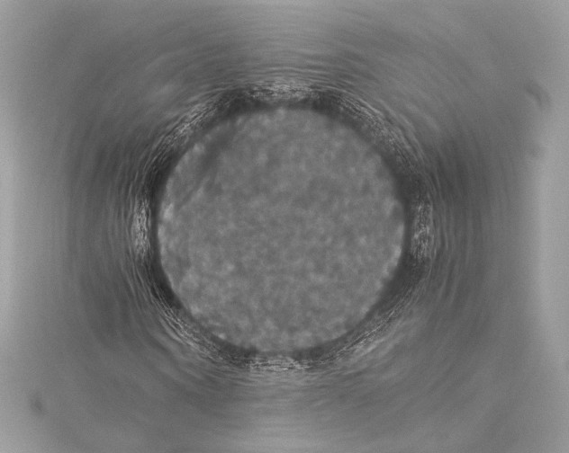 X0000115340866200911301546