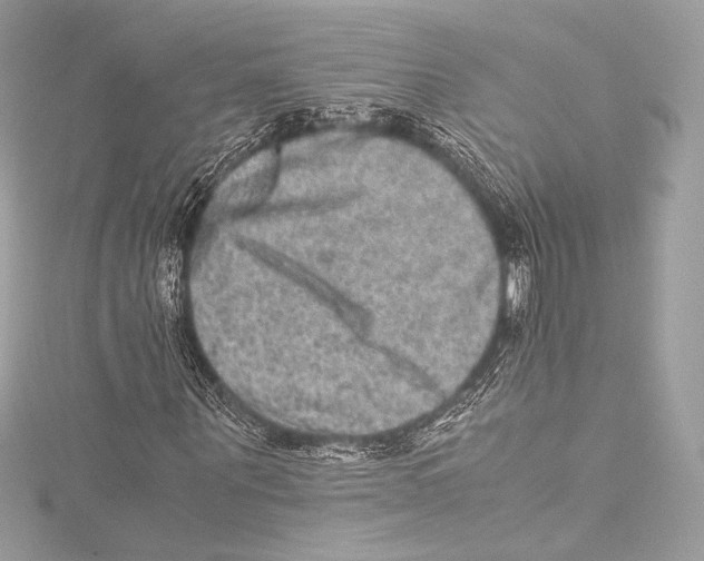 X0000115340867200911301546