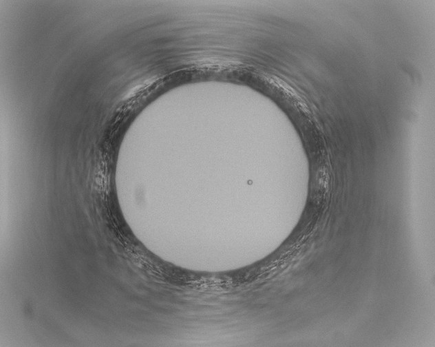 X0000115340869200911301546