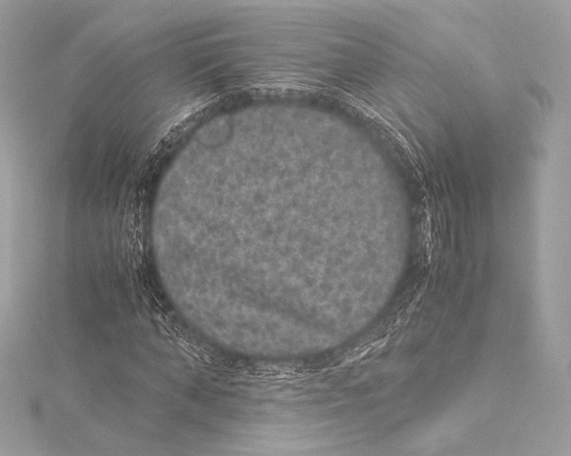 X0000115340870200911301546